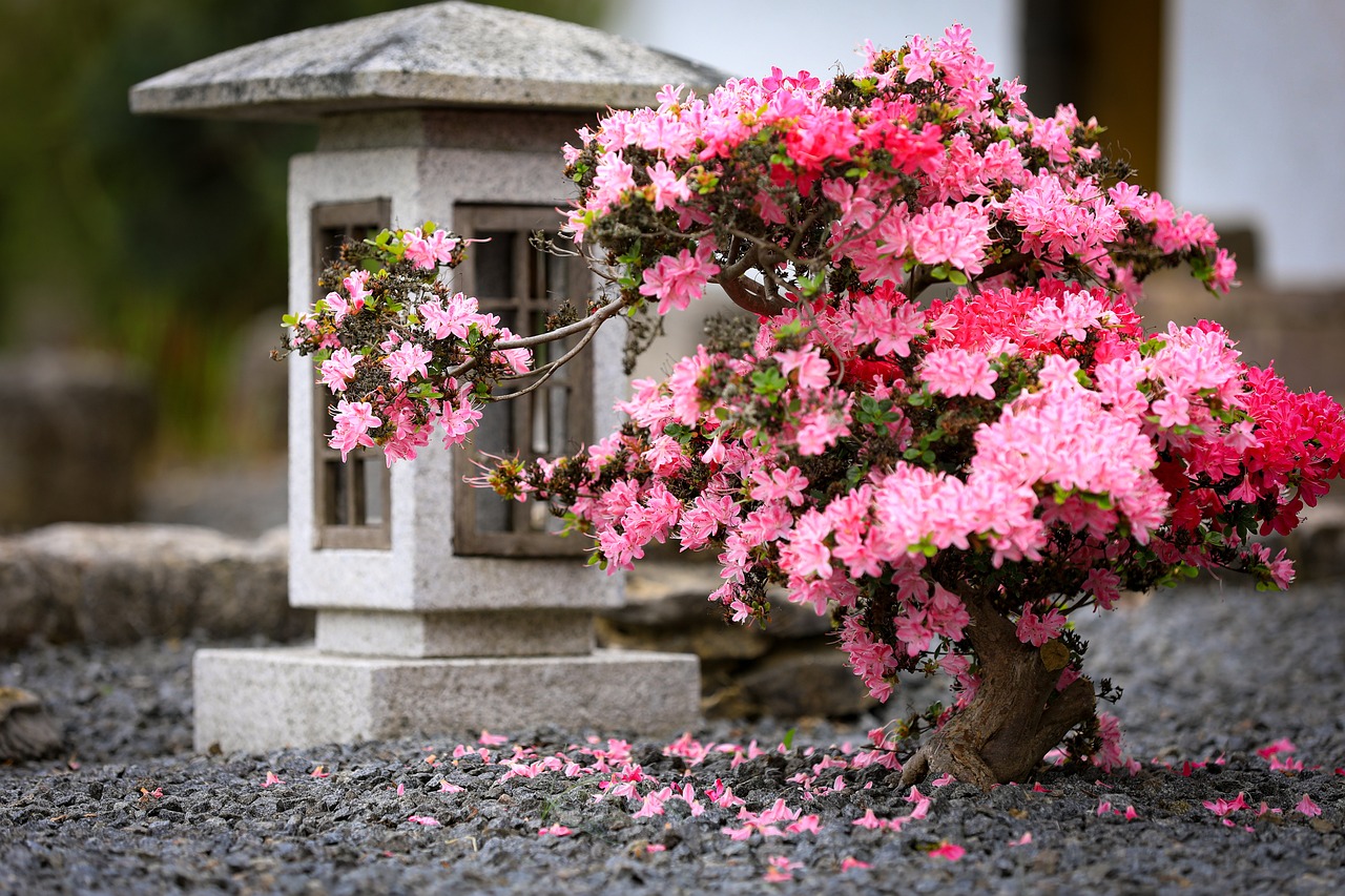 The Hidden Gardens of Japan’s Kyoto Prefecture